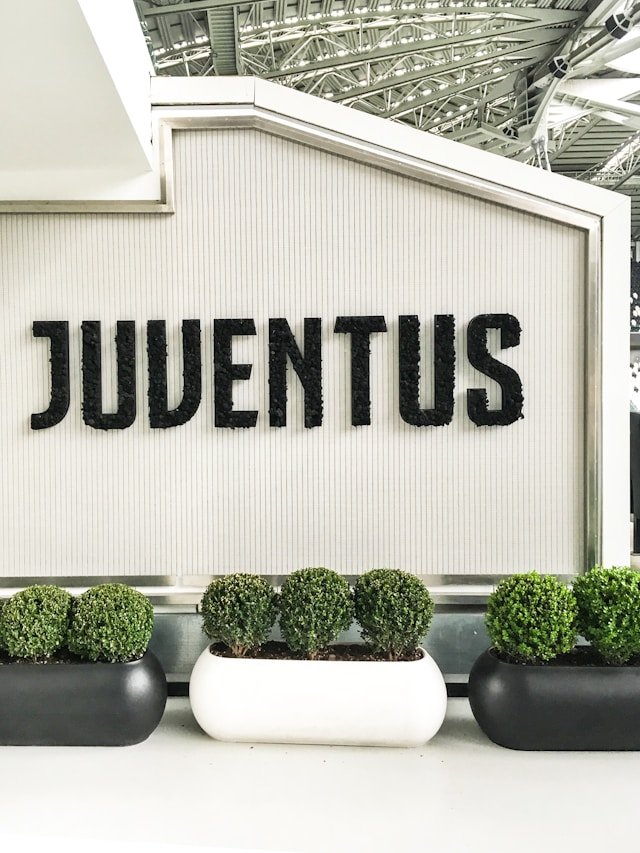 juventus turijn allianz stadium curva trivela